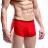 Slip Homme ADOSSAC Coton Respirant Confortable Taille Haute