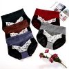 Culotte femme coton taille haute lot de 5 slips dentelle