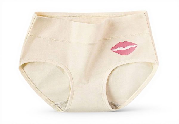 Culotte femme taille haute coton 5 pièces stretch sans