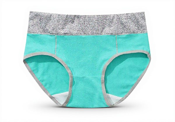 ADOSSAC Culotte Femme Coton Doux Gainante Ventre Plat Lot de