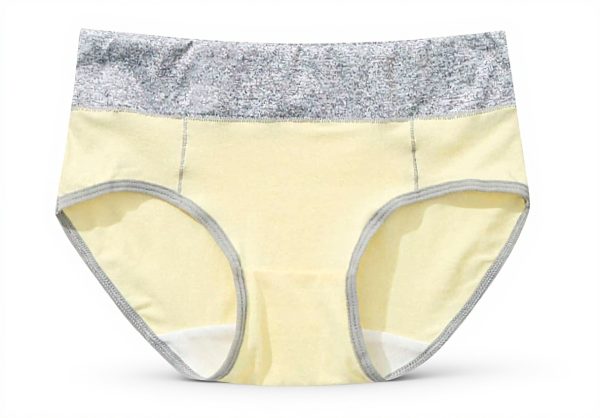 ADOSSAC Culotte Femme Coton Doux Gainante Ventre Plat Lot de