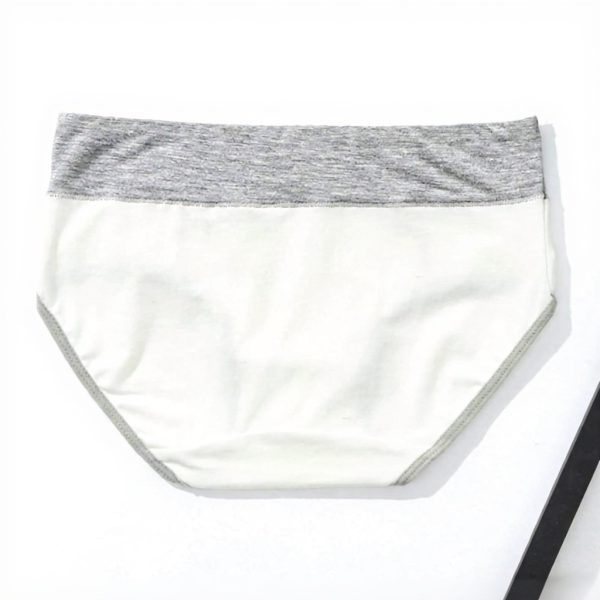 ADOSSAC Culotte Femme Coton Doux Gainante Ventre Plat Lot de