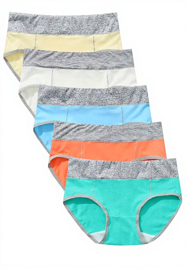 ADOSSAC Culotte Femme Coton Doux Gainante Ventre Plat Lot de