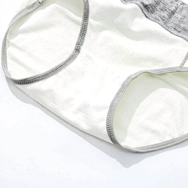 ADOSSAC Culotte Femme Coton Doux Gainante Ventre Plat Lot de