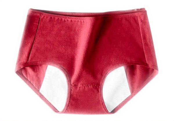 Culottes coton femmes ADOSSAC shorty confort taille haute