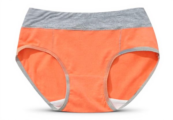 ADOSSAC Culottes Femme Coton Taille Haute Gainante Ventre